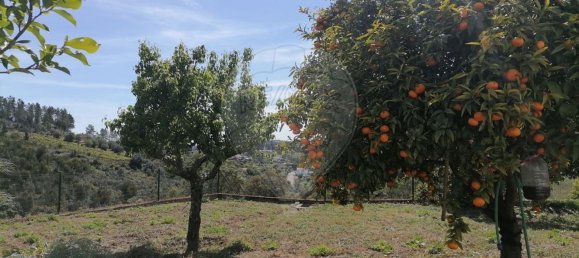 3 bedrooms House in Tomar, Portugal No. 173995 32