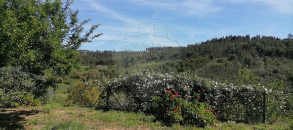 3 bedrooms House in Tomar, Portugal No. 173995 29