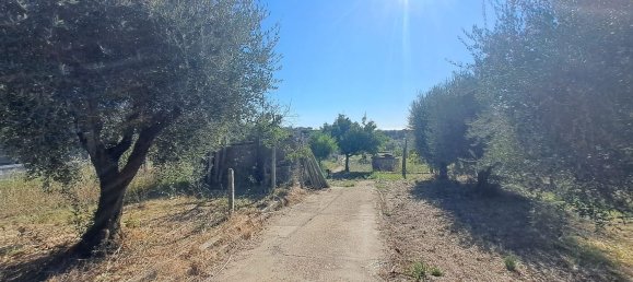 Land in Albano Laziale, Italy No. 375871 8