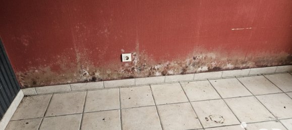 Дом с 3 спальнями в Шаранта, Франция № 302606 11