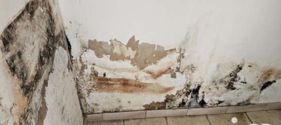 Дом с 3 спальнями в Шаранта, Франция № 302606 15