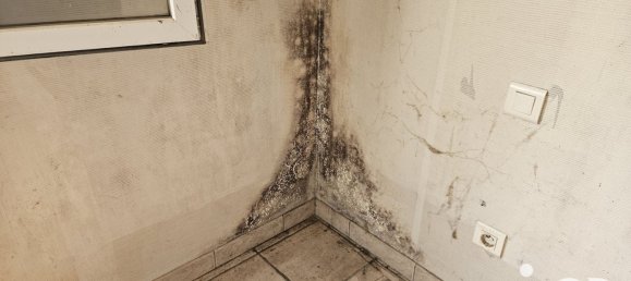 Дом с 3 спальнями в Шаранта, Франция № 302606 13