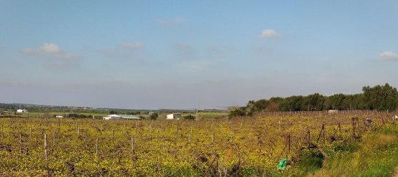  Land in Cadiz, Spain No. 161457 2
