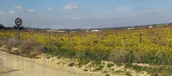  Land in Cadiz, Spain No. 161457 7