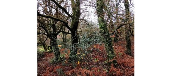 Grundstück in Viana do Castelo, Portugal 779m², Nr. 80721 6