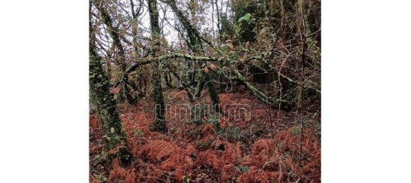 Grundstück in Viana do Castelo, Portugal 779m², Nr. 80721 7