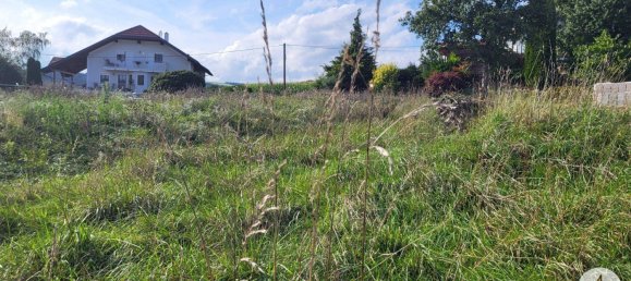 4 rooms Land in Diersbach, Austria No. 212577 3