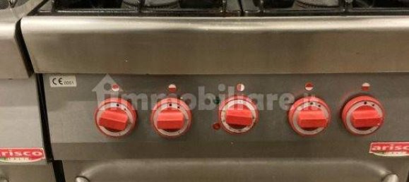 2-Zimmer Gewerbliche Immobilie in Villanova d'Albenga, Italy, Nr. 178962 9