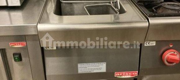 2-Zimmer Gewerbliche Immobilie in Villanova d'Albenga, Italy, Nr. 178962 8