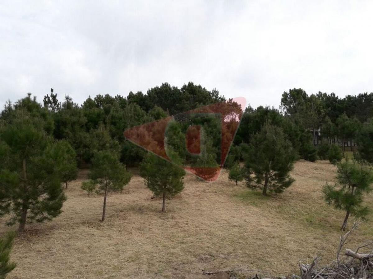 Grundstück in Mar del Plata, Argentina, Nr. 112461