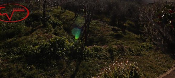 Квартира с 4 комнатами в Латерина Перджине Вальдарно, Италия № 234231 23