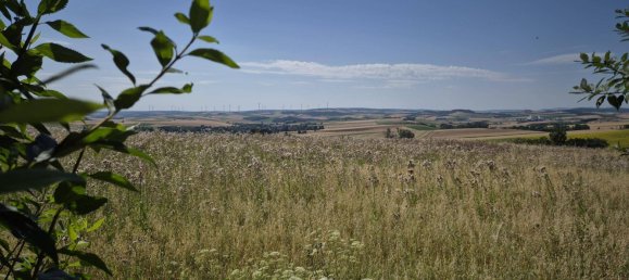 Villa de 3 dormitorios en Ernstbrunn, Austria No. 196969 12