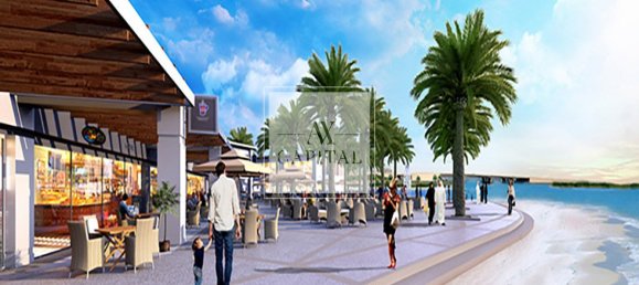 4 bedrooms Villa in Saadiyat Island, UAE No. 50880 15