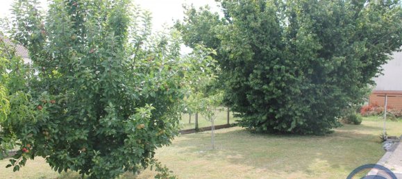 4 chambres Maison à Montlouis-sur-Loire, France No. 263234 5