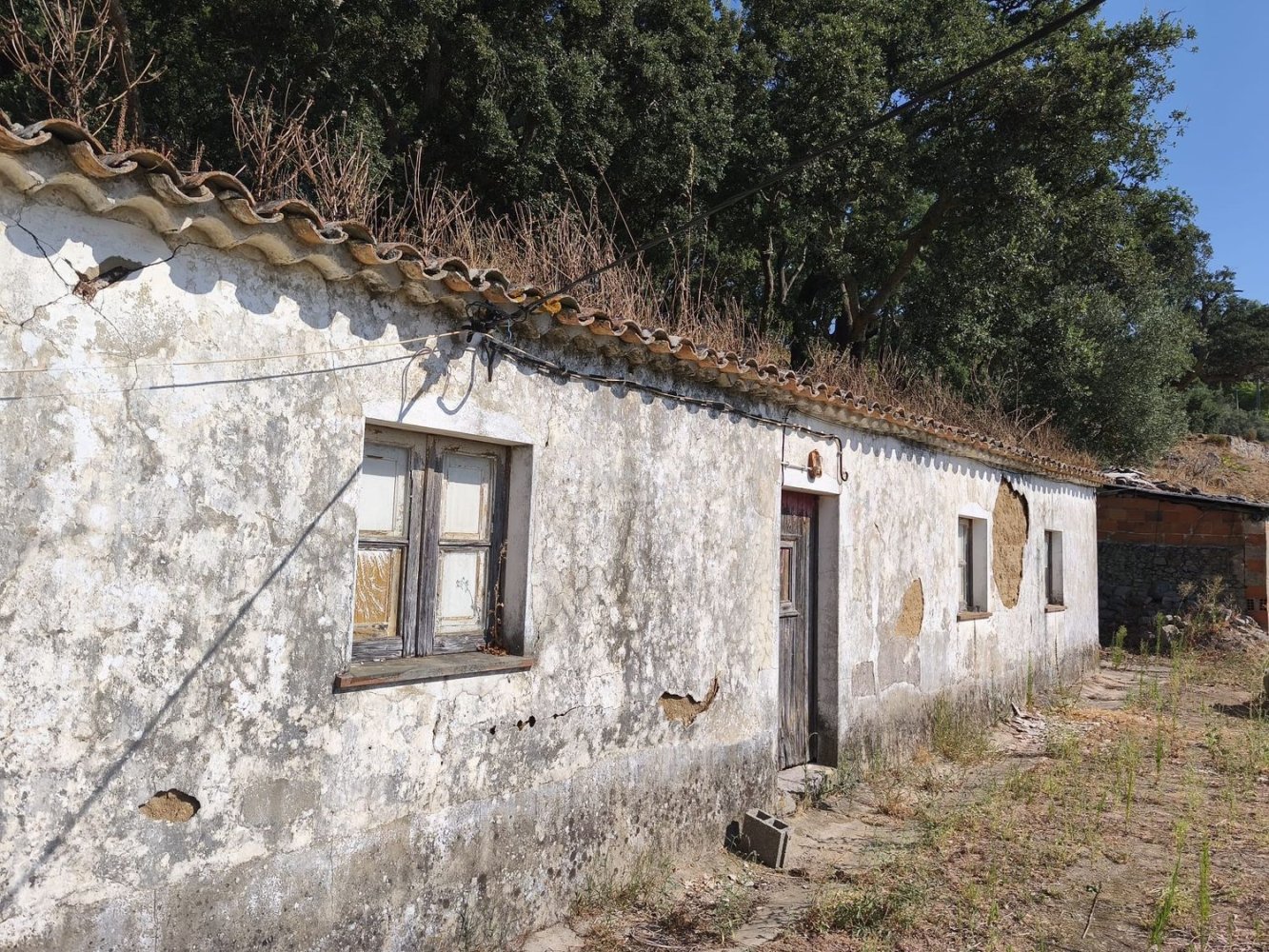 Земельный участок 7640м² в Marmelete, Португалия № 284922