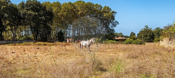 2 Schlafzimmer Haus in Nogueira da Regedoura, Portugal, Nr. 176552 3