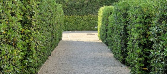 3 rooms Apartment in Anzio, Italy No. 72396 12