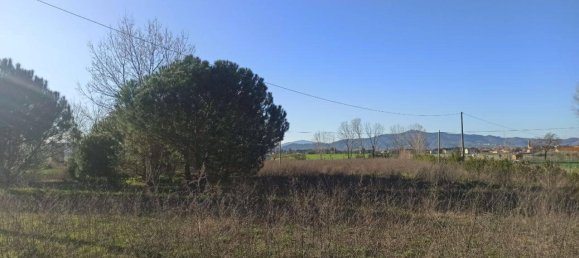 Terreno en Castiglione del Lago, Italy 16229 m² No. 119729 6