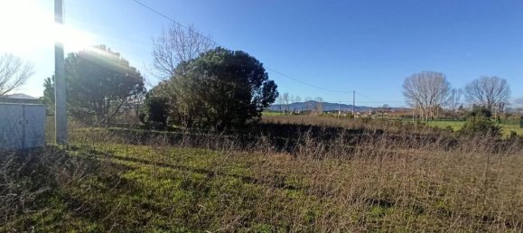 Terreno en Castiglione del Lago, Italy 16229 m² No. 119729 4