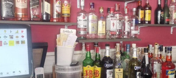 Cafe / Restaurant in Torrevieja, Spain 209m², Nr. 284400 3