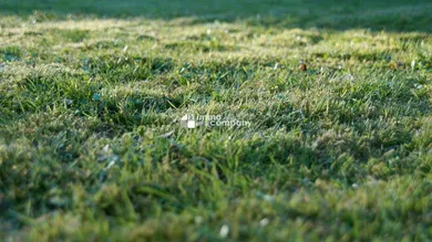 Земельный участок в Герасдорф бай Вин, Австрия № 65366