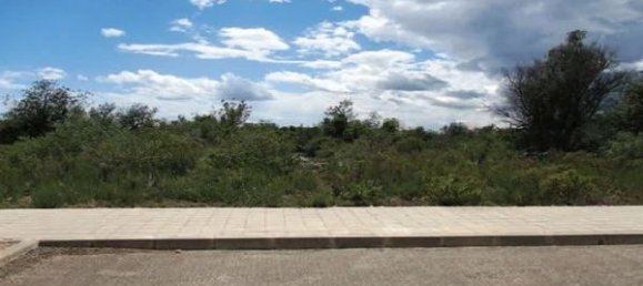 59098m² Land in Castellon, Spain No. 155877 8