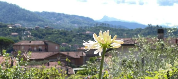 5 rooms House in Follo, Italy No. 263411 25