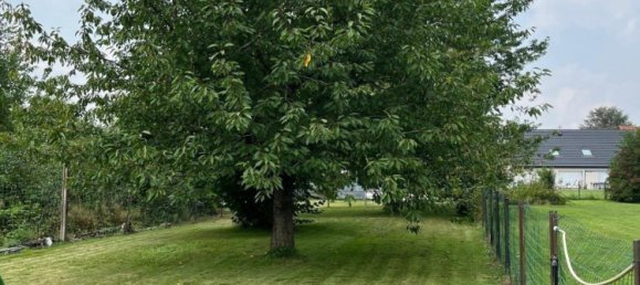 4 Schlafzimmer Haus in Pecquencourt, France, Nr. 242257 14