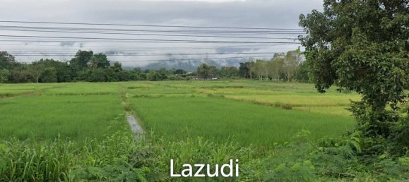  Land in Phayao, Thailand No. 26270 4