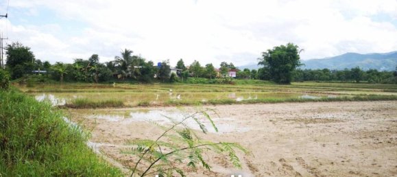  Land in Phayao, Thailand No. 26270 5