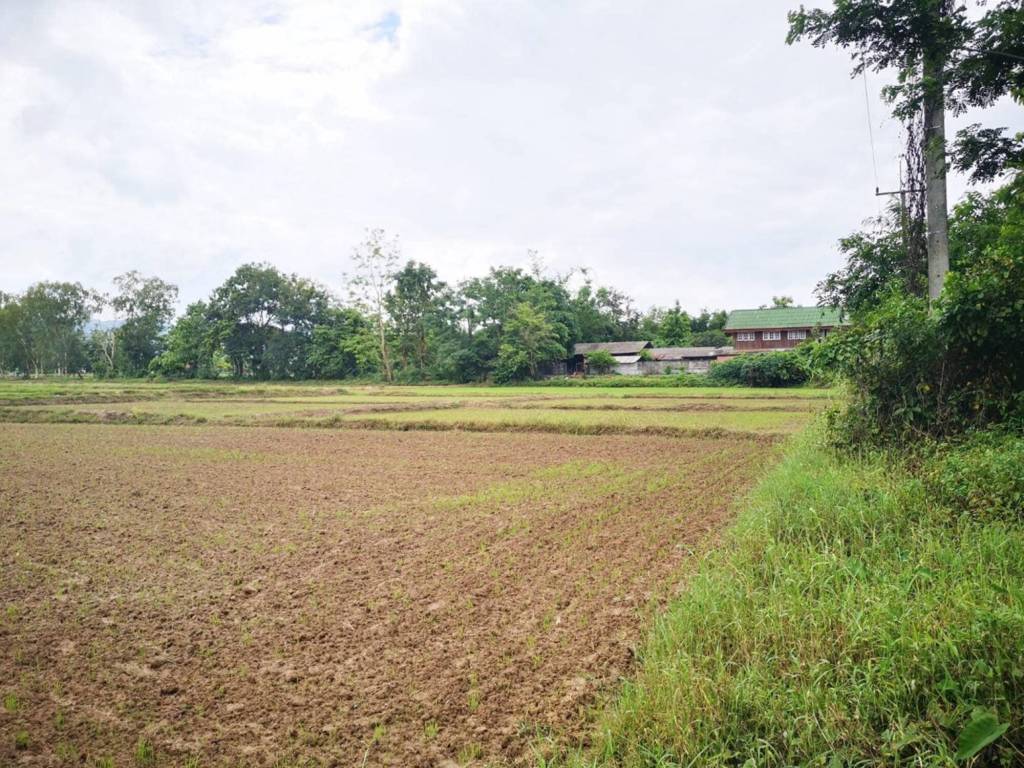 Terreno en Phayao, Thailand No. 26270
