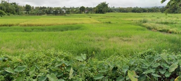 Terreno en Phayao, Thailand No. 26270 7