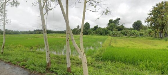 Terreno en Phayao, Thailand No. 26270 4
