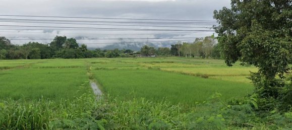 Terreno en Phayao, Thailand No. 26270 6