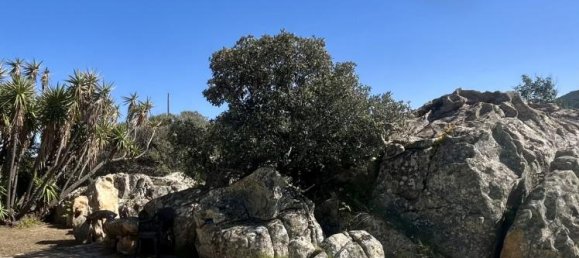 Вилла с 5 комнатами в Ольбия, Италия № 233876 33