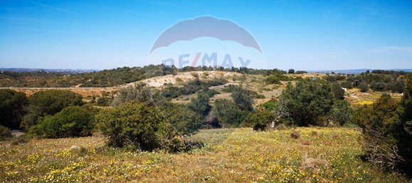 Дом с 9 спальнями в Поршеш, Португалия № 37857 2