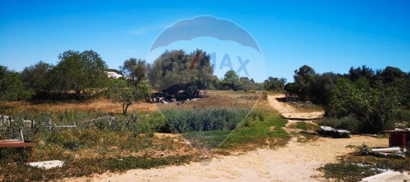 Дом с 9 спальнями в Поршеш, Португалия № 37857 11