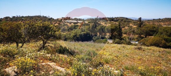 Дом с 9 спальнями в Поршеш, Португалия № 37857 6