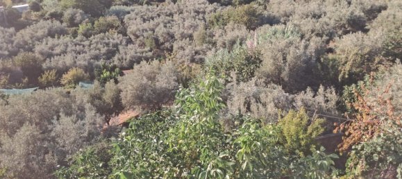 Вилла с 5 спальнями в Ночера Теринезе, Италия № 341135 16