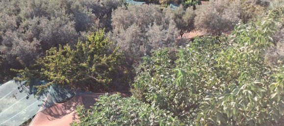 Вилла с 5 спальнями в Ночера Теринезе, Италия № 341135 17