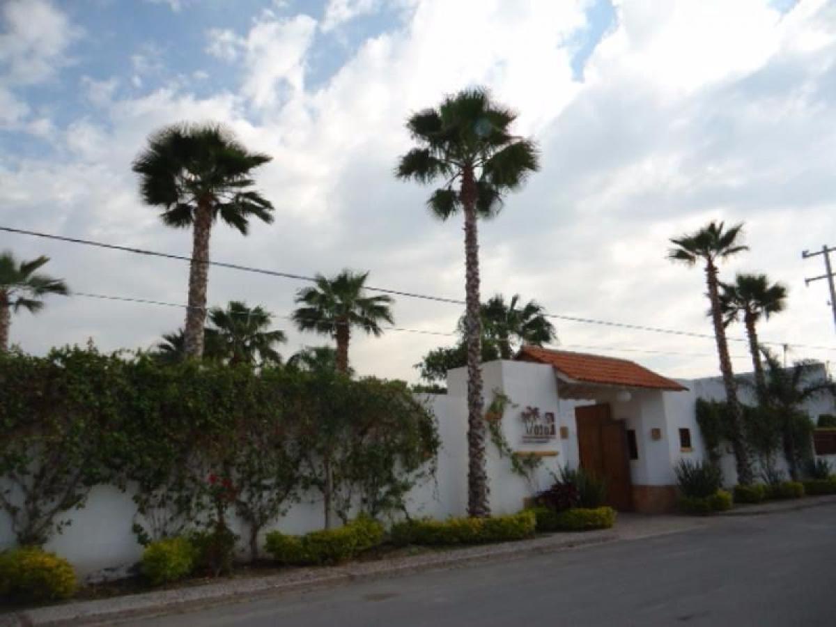 3 Schlafzimmer Haus in Playa Vicente, Mexico, Nr. 169753