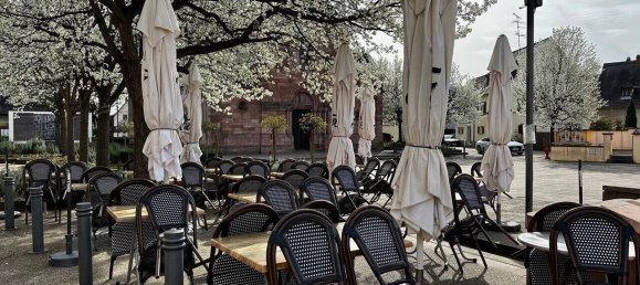 180m² Commercial property in Freland, France No. 85558 2