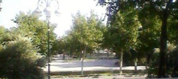 Apartamento de 3 dormitorios en Baku, Azerbaijan No. 356 9