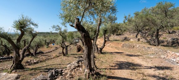 Terrain à Tarragona, Spain 48000m² No. 183407 12