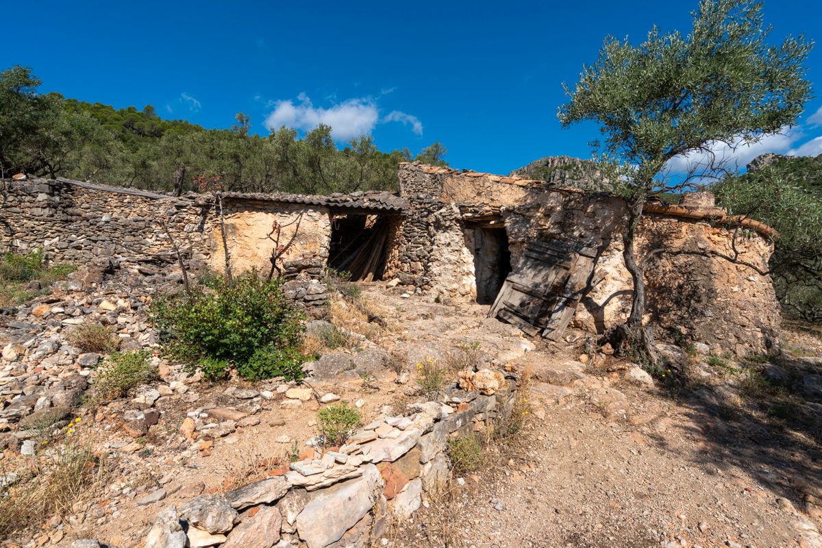 Terrain à Tarragona, Spain 48000m² No. 183407