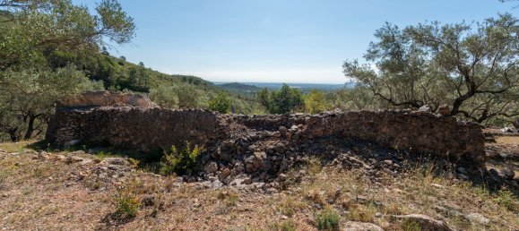Terrain à Tarragona, Spain 48000m² No. 183407 28