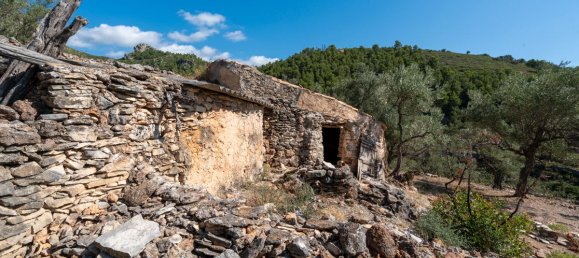 Terrain à Tarragona, Spain 48000m² No. 183407 33