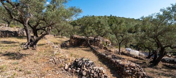 Terrain à Tarragona, Spain 48000m² No. 183407 26