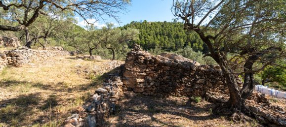 Terrain à Tarragona, Spain 48000m² No. 183407 27