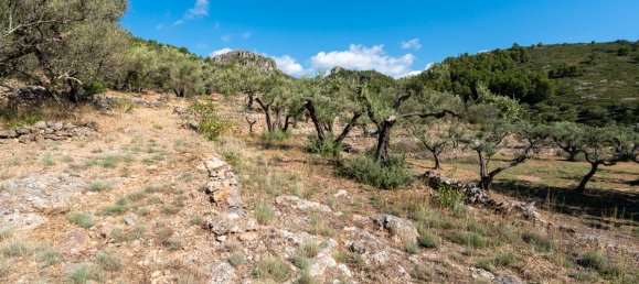 Terrain à Tarragona, Spain 48000m² No. 183407 16